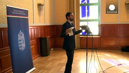 В грузовике на австрийско-венгерской границе обнаружены подростки из Афганистана