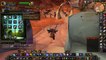 Гайд по классу охотник в World of Warcraft Lich King 3.3.5a