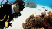 Scuba Diving on Great Barrier Reef - Best Adventure