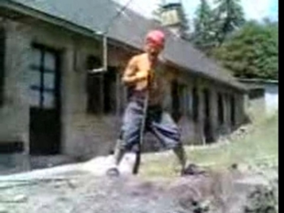 Busta jé