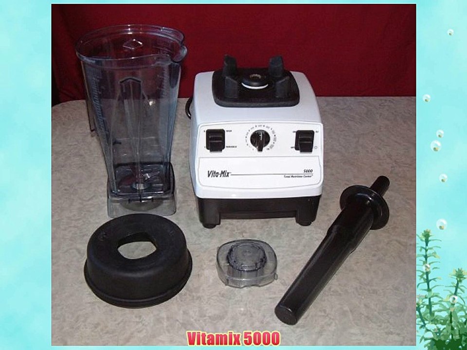 Vitamix 5000
