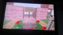 Minecraft tour of Stampys house