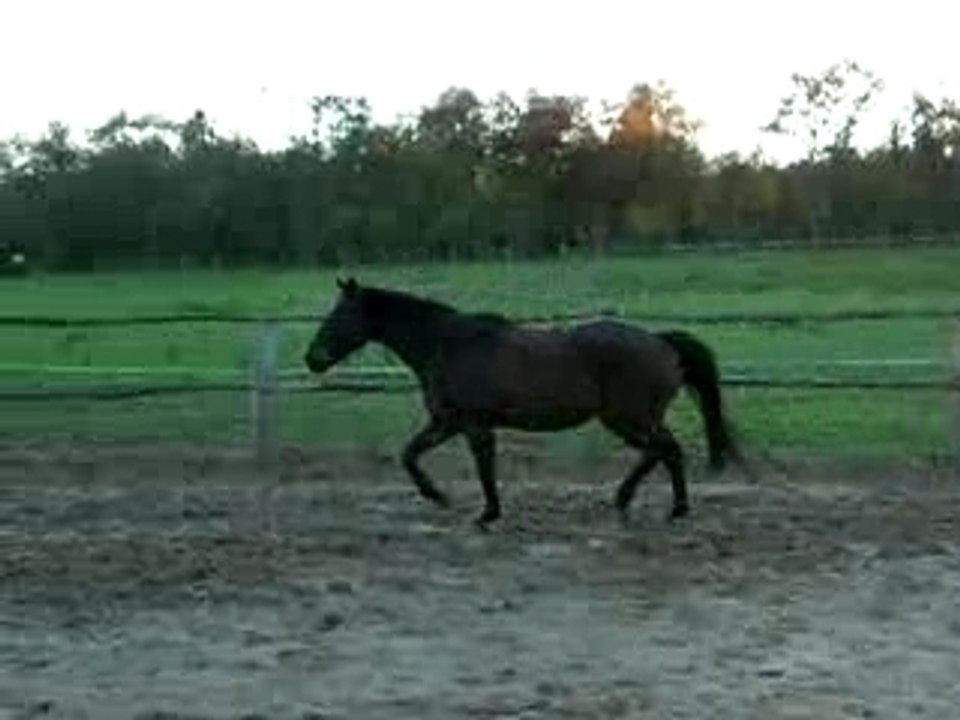 DSCN5467