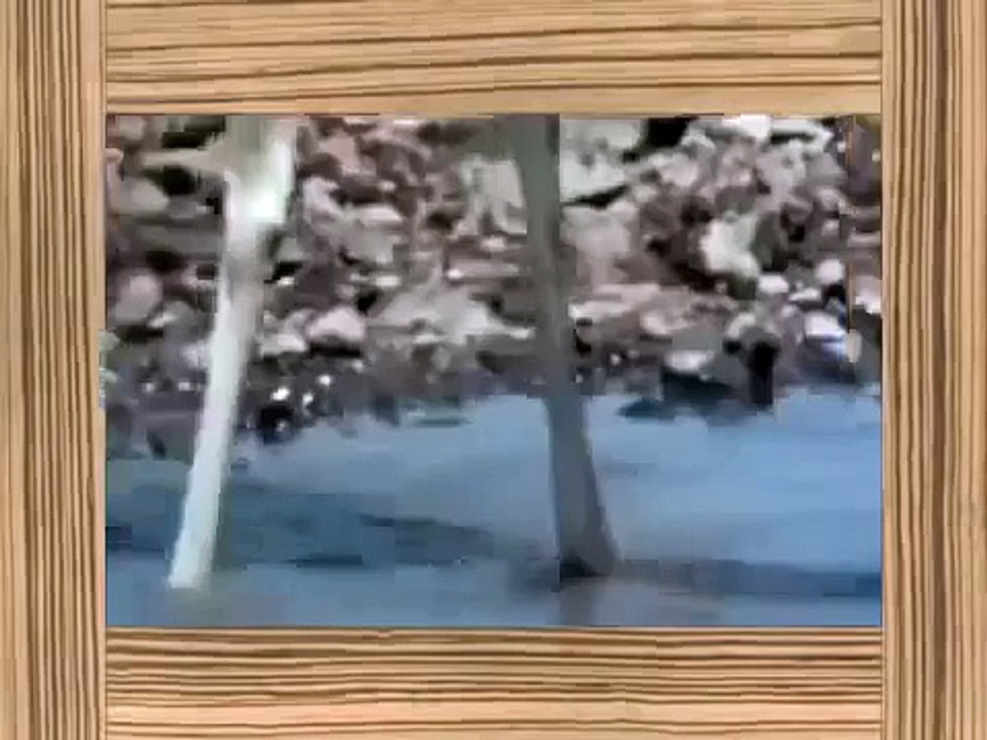 ⁣Amazing Animal Fights, Wild Animal Attacks Must See (HD) Amazing Documentary 2015 new