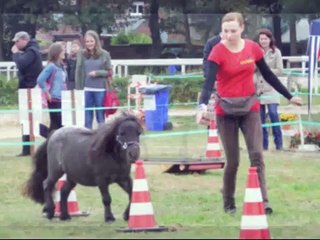 Horse-Agility auf der Verdiana