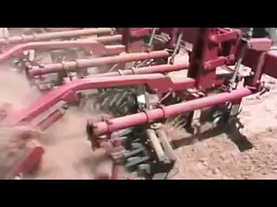 Lilliston Rolling Cultivator Freshening Beds