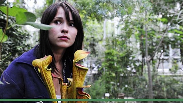 Groupies bleiben nicht zum Frühstück Movie FULL 2010 V