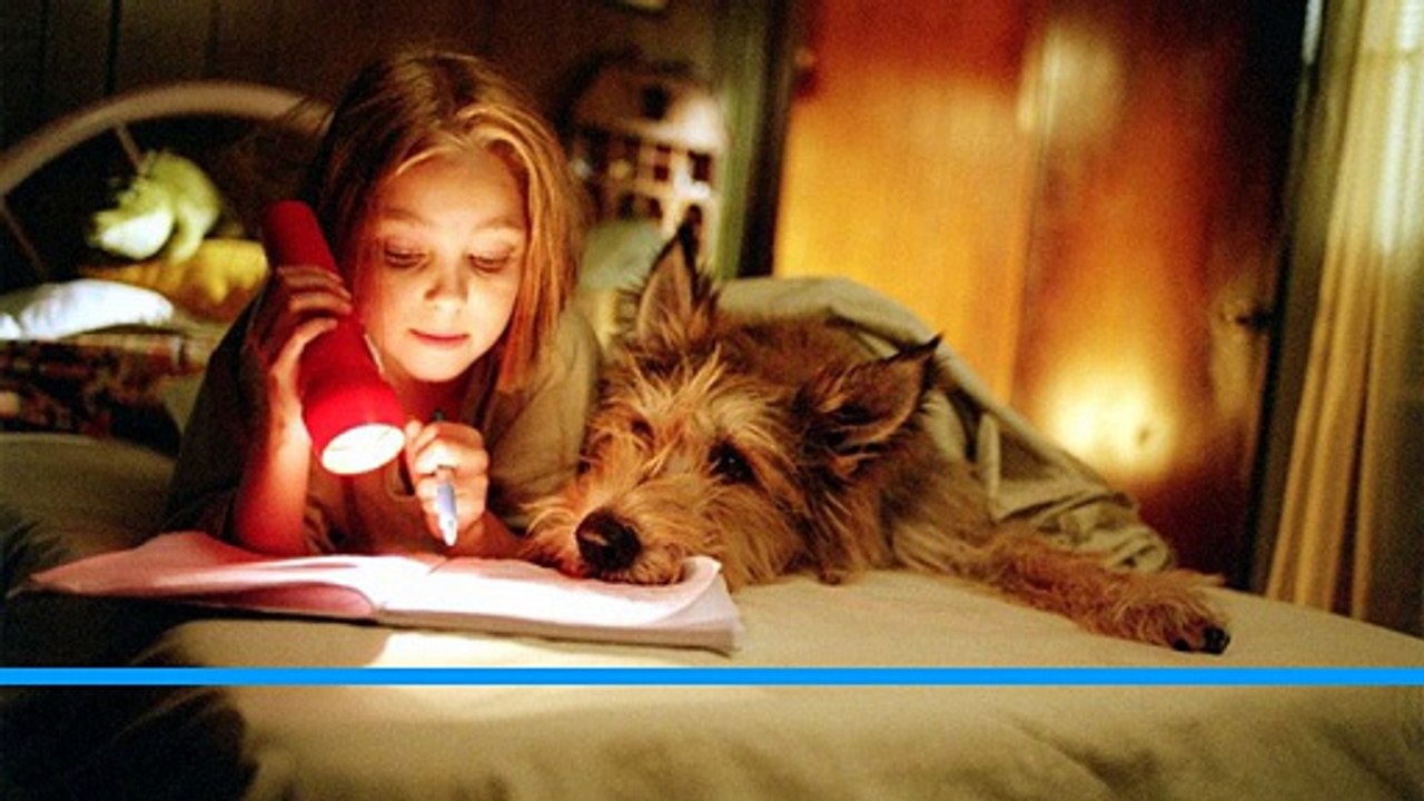 Because of Winn-Dixie ™ 2005  [Full] Movie