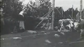 Carelian Life in 1920