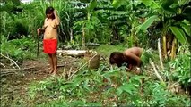 Yanomami Tribes life The other side of the Amazon