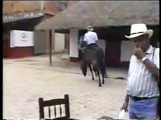 PASOFINOTV.COM - A DON FABIO OCHOA NO LE MOLESTABA LA TROCHA