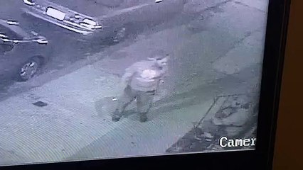 Fin inattendue pour une bagarre de rue