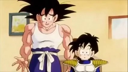 Dragon-Ball-Z-Goku-accidentally-hits-Chi-Chi