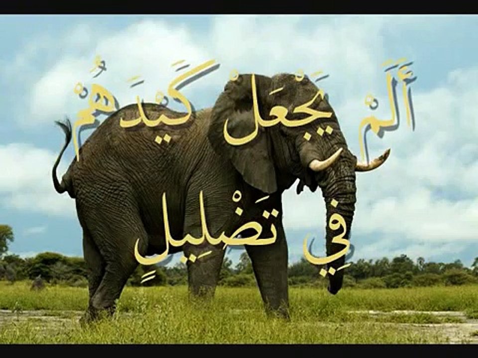 علم أبنائك القرآن مع المنشاوي رحمه الله (( سورة الفيل ))