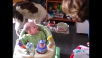 ✔Funny laughing baby 1 New funny videos of babies 面白い赤ちゃん Bébé rire drôle