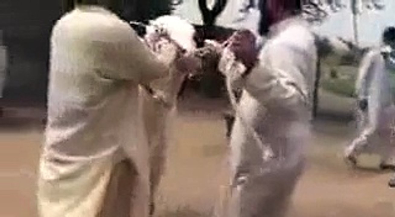 Dangerous-Bachra-Eid-Cow-2015