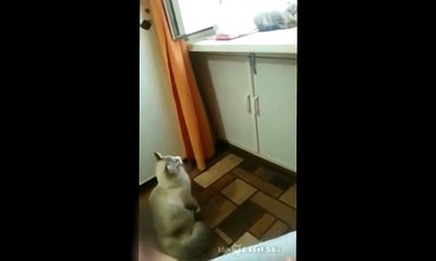 Who is there Да кто же там сидит