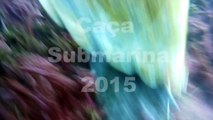 Caça submarina 2015