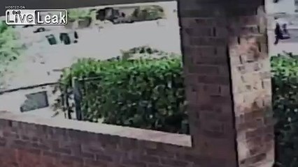 Two armed robbers mowed down by victim
