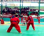 martial arts matches between schools