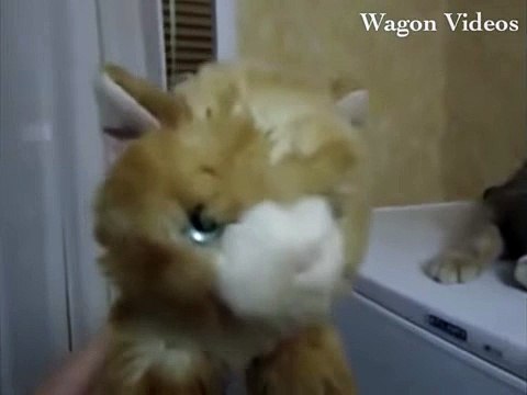 New Funny Videos 2015 Funny Animals Funny Pranks Prank Fails Vines Funny Cats