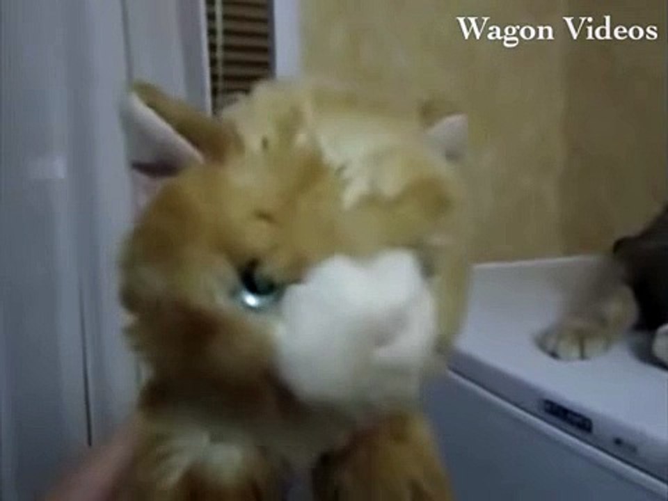 New Funny Videos 2015 Funny Animals Funny Pranks Prank Fails Vines Funny Cats