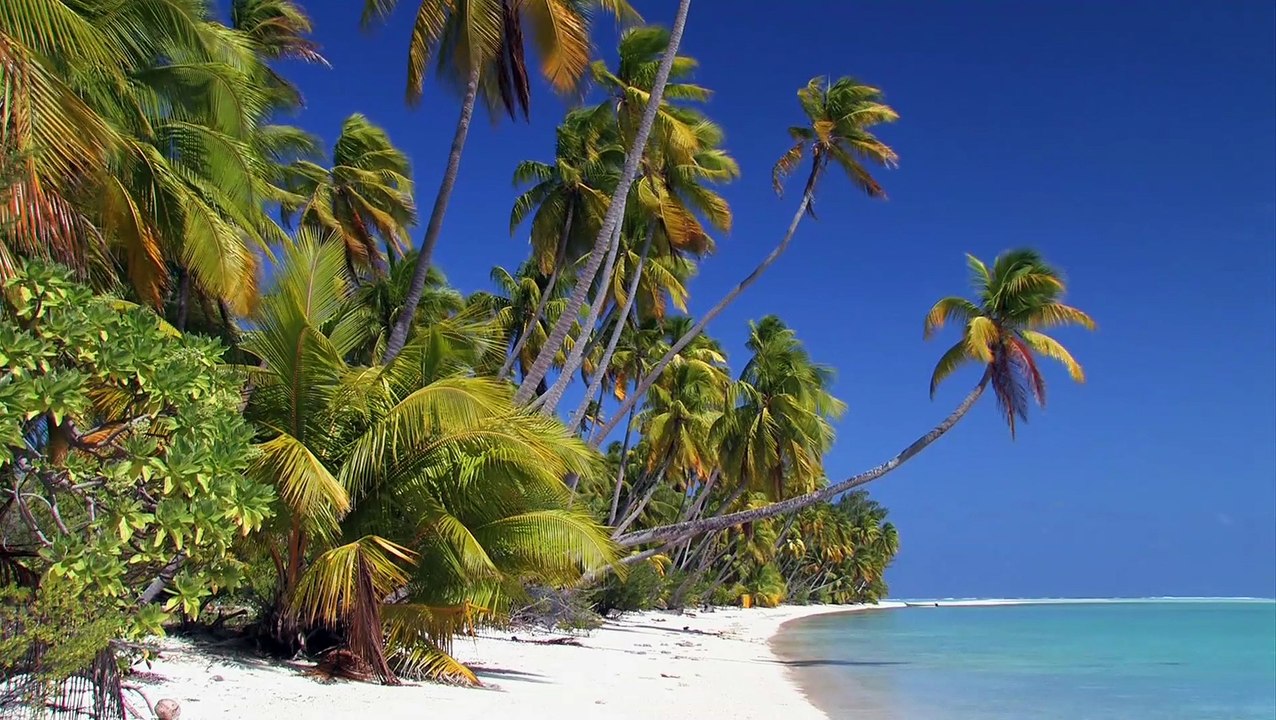 CDM "ILES LOINTAINES DE POLYNESIE, Tuamotu, Marquises, Gambier, Australes" BA du film d'ANTOINE