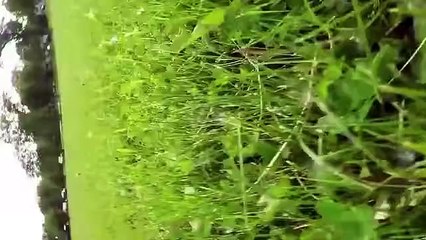 BEST Ultimate Technology FAILS Compilation 2015!!! HILARIOUS!!!