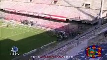 Lotito Cade in Campo Festeggiando la Promozione del Salerno Calcio