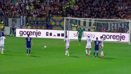 Bosnia ws Israel Edin Dzeko 2: 1 EURO 2016