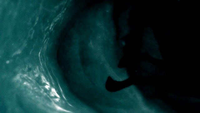 Annecy 2015 - Dans les eaux profondes - Palmarès