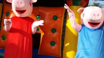 Festa Infantil Personagens Peppa Pig e George Animação da sua Festa