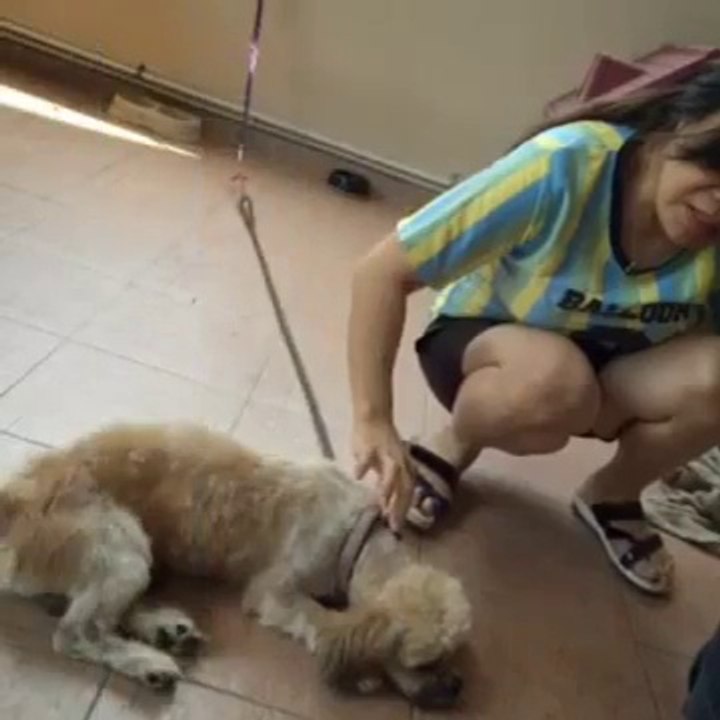 熊美韻與Baby