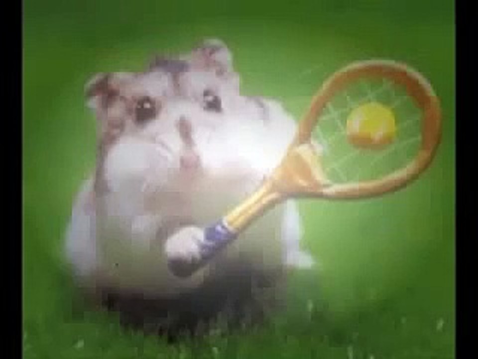 Funny Hamster Dance