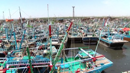 Video Diary of Delivery Boy