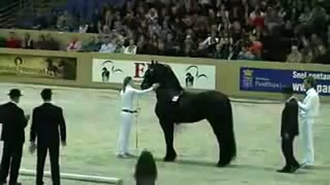 Jasper 366 in 2011 - still going strong