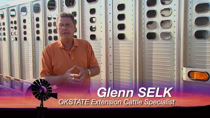 Cow-Calf Corner: Beef Production Tips