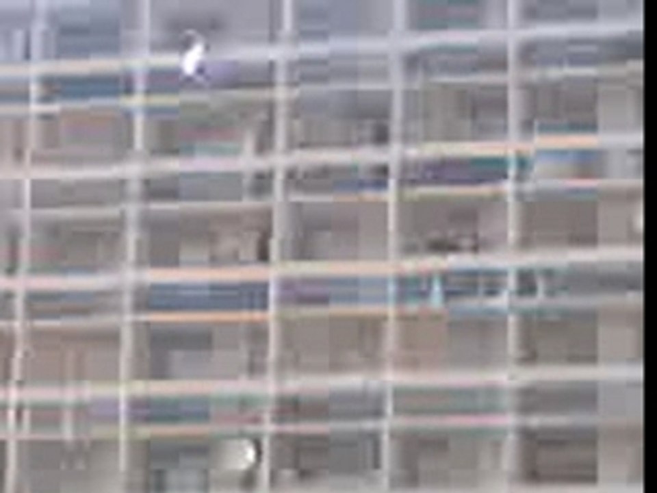 batimen pouri 2 chenove ya pas