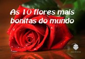 As 10 flores mais bonitas do mundo