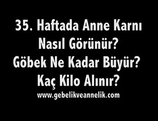 Hamileliğin 35. Haftası Anne Adayı