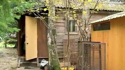 Wie voll sind 1.000 Russen? Mit 80.000 Fragen um die Welt - WELTBILDER - NDR