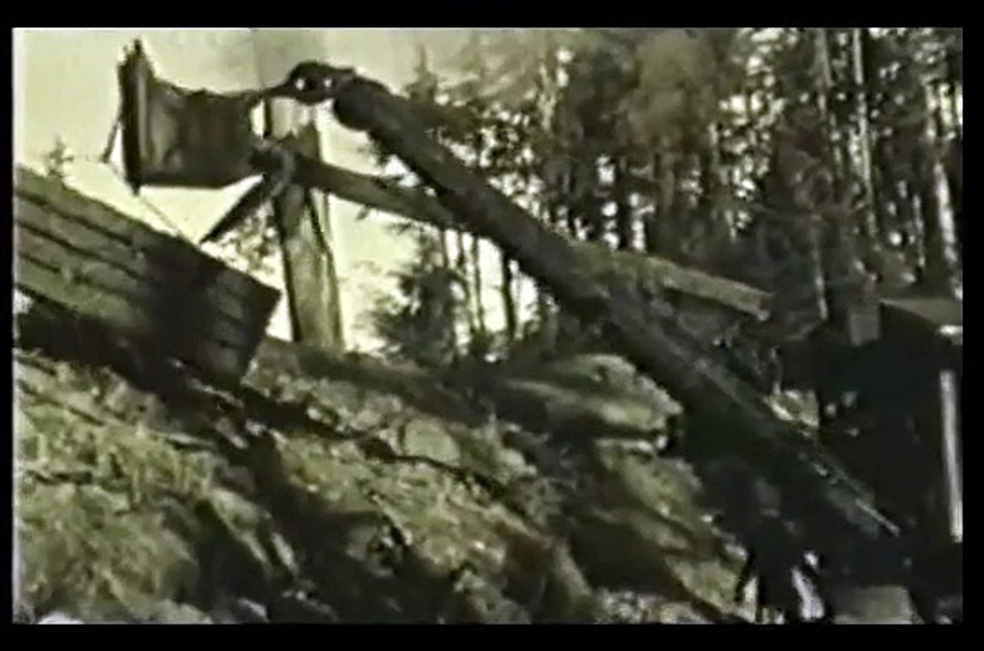 Allison Logging - Coastal Logging in the early 20th Century