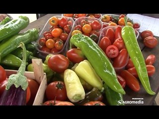 Dud – vole ga deca, ali kako se gaji?_410_25.07.2015.