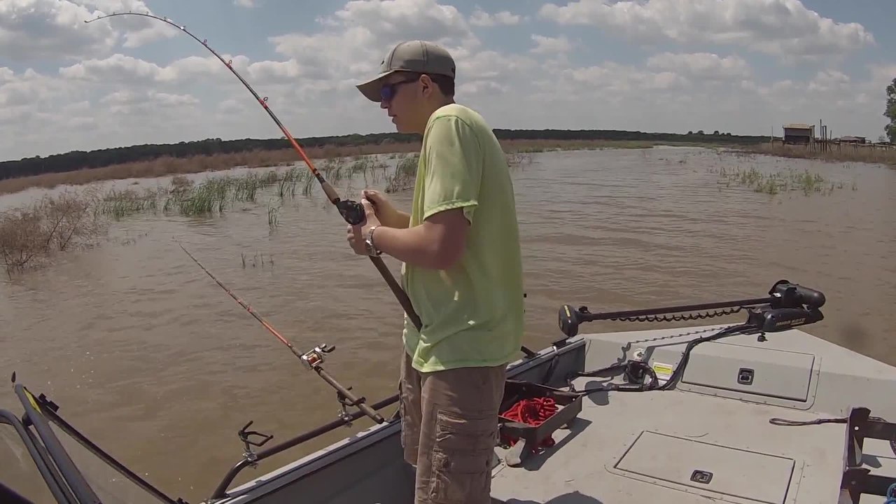 Bright Colored Line for Catfish