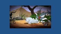 Tom And Jerry Cartoon - Jungle Love