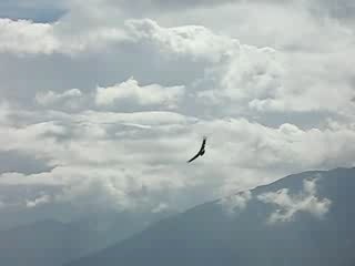 Vol de Condor