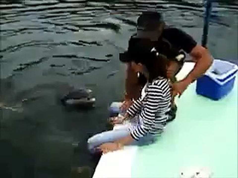 Most Amazing Whatsapp official funny videos -2015