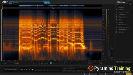 Pro Tools | Cleaning Up Guitar & Vocal Audio | iZotope RX | Pyramind