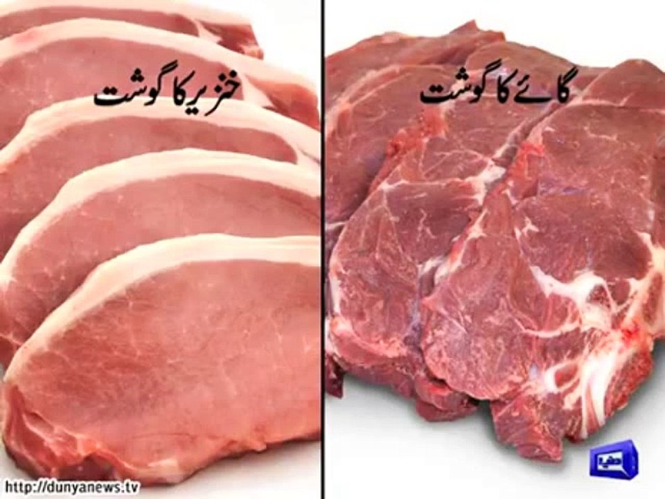 Find Out Difference Between Pig, Cow's Meat