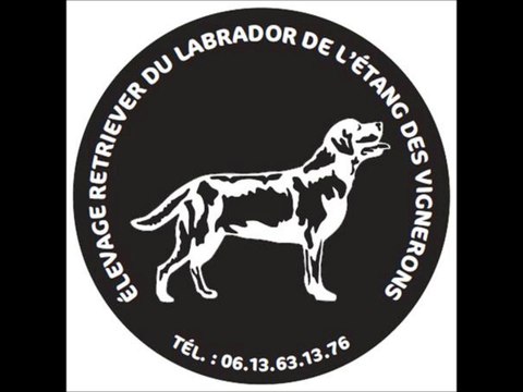 Elevage de l'Etang des Vignerons - les premiers pas